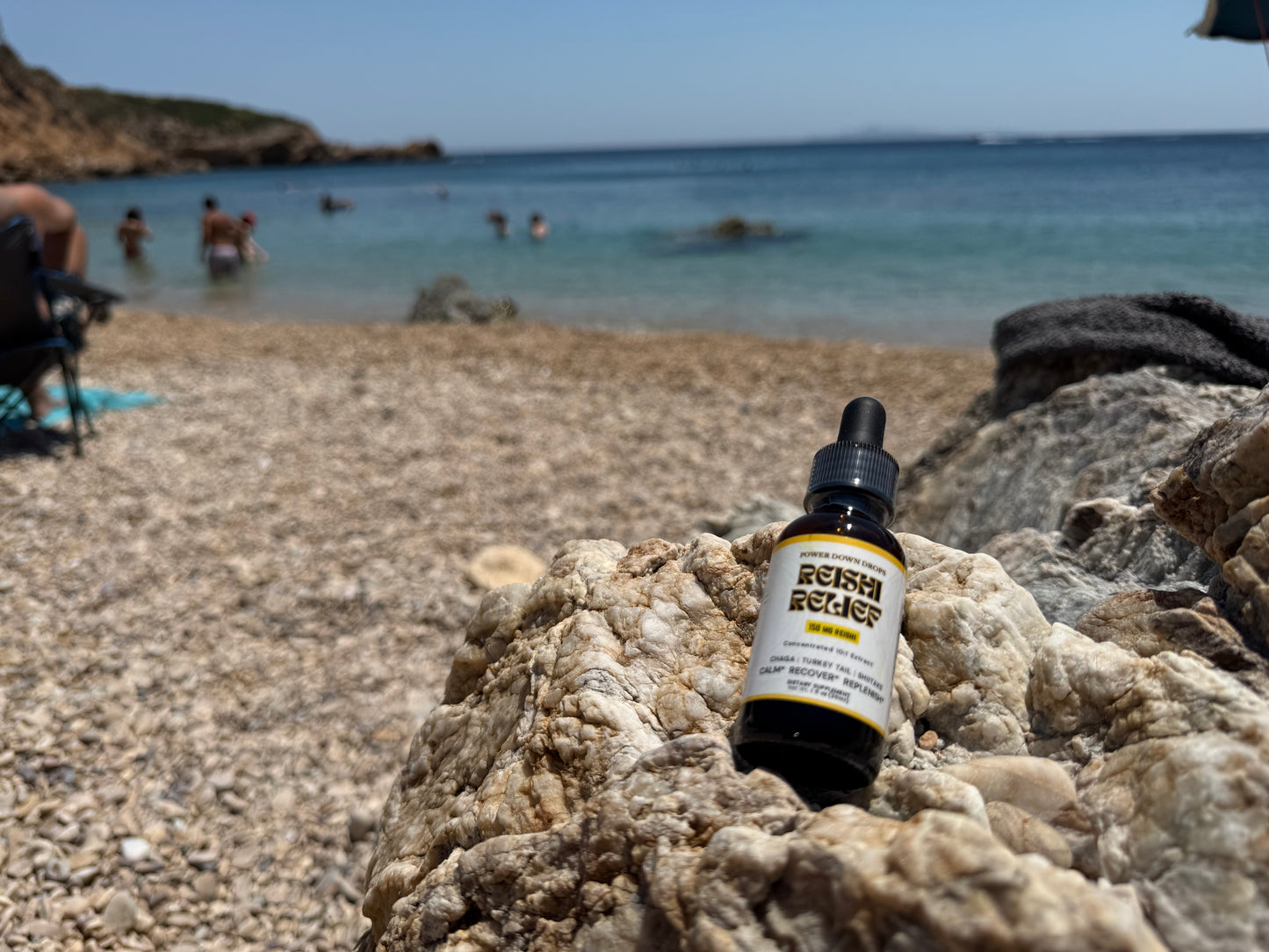 Power-Down Reishi Relief Drops: Gourmet Mushrooms plus Immunity Blend