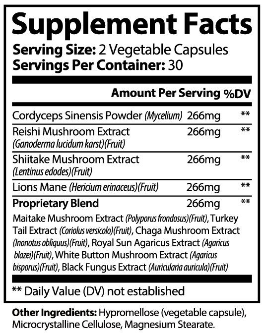 Mushroom Energy: Gourmet Mushroom Capsules Concentrated 10:1 Extract