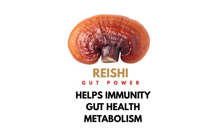 Mushroom Energy Capsules (10:1 Extract) -  Relief from Stress, Burnout, & Fatigue (60 Capsules)