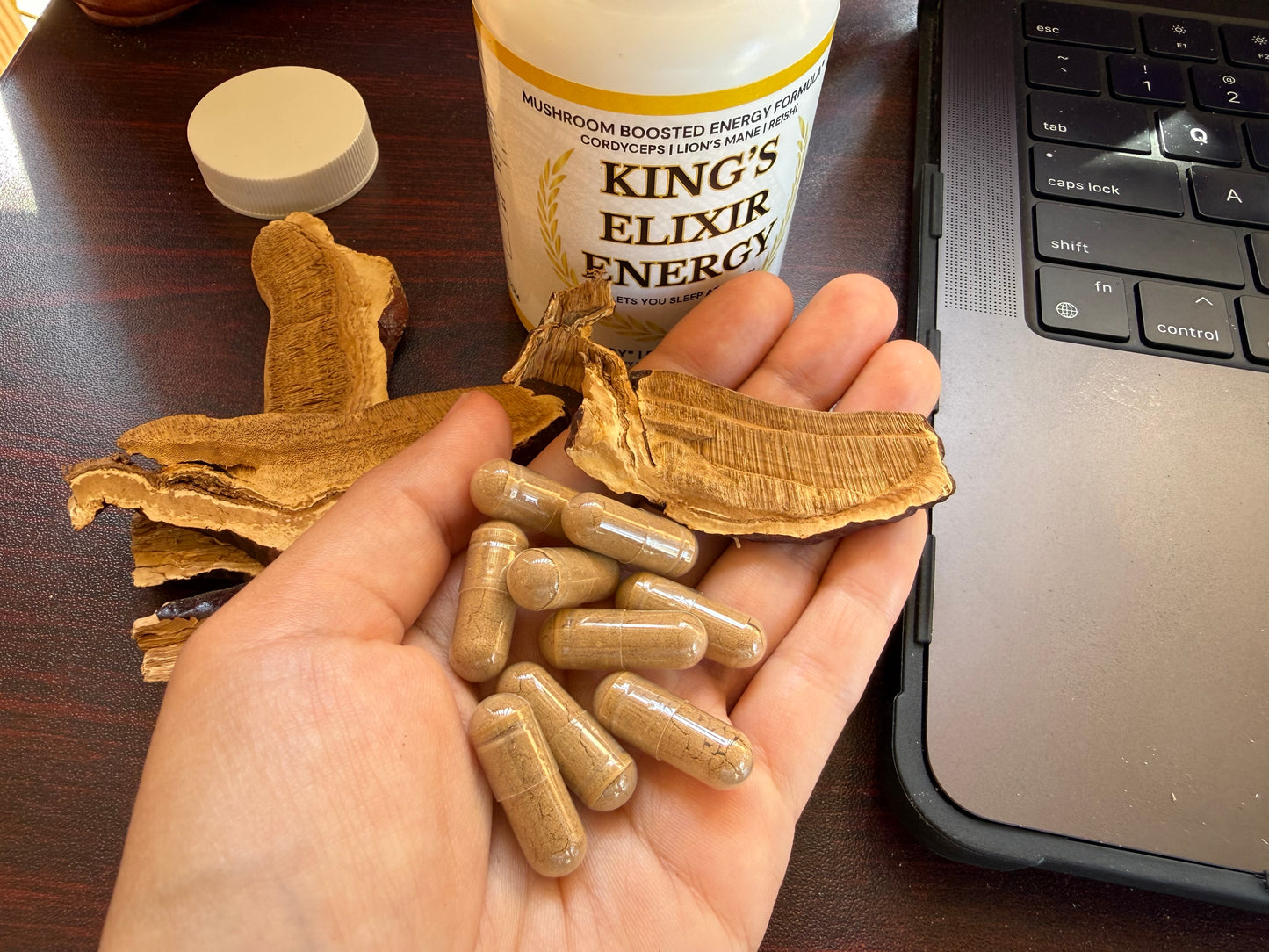 Mushroom Energy Capsules (10:1 Extract) -  Relief from Stress, Burnout, & Fatigue (60 Capsules)