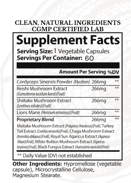 10-in-1 Medicinal Mushroom Elixir for Sustained Energy | Lion’s Mane, Reishi, Cordyceps, Chaga, Turkey Tail | Two-Month Supply
